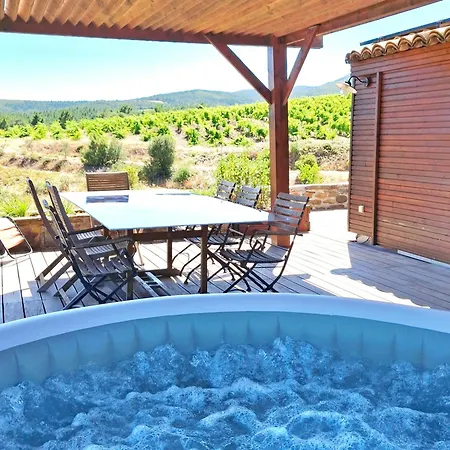Villa 9 Pers, Jacuzzi Parc Regional Languedoc Proche Roquebrun *